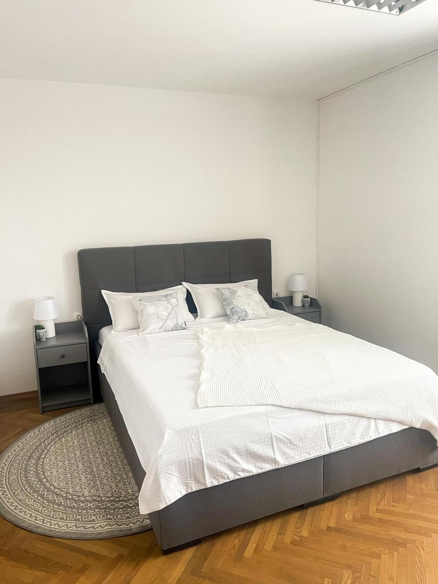 Spacious Cozy Apartment Ljubljana Exterior photo
